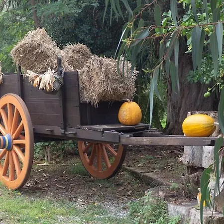 In The Botanical Garden Дом отдыха Санта-Доменика